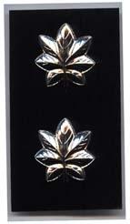 Lieutenant Commander Colonel Sold as Pair Gold by Saunders Military Insignia