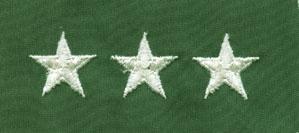 Lieutenant General USAF Officer Rank Insignia Display