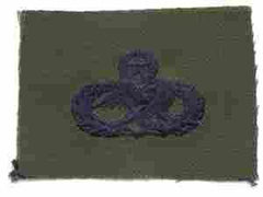 Maintenance Badge, Cloth, Subdued by Saunders Military Insignia