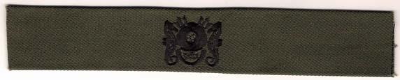 Master Divers Badge, cloth, Subdued
