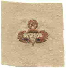 Master Para Combat desert Army (2 combat Jump) - Saunders Military Insignia