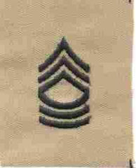 Master Sergeant (E8) Army Collar Chevron by Saunders Military Insignia