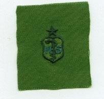 Master Sergeant Senior Badge, Cloth, subdued by Saunders Military Insignia