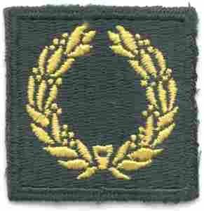 Meritorious Award, Army Green Border AG44