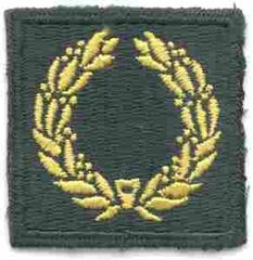 Meritorious Award, Army Green Border AG44 - Saunders Military Insignia