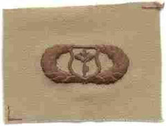 Meterorologist Basic USAF Badge - Saunders Military Insignia