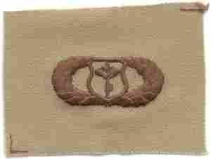 Meterorologist Basic USAF Badge by Saunders Military Insignia