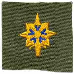 Military Intelligene Badge, cloth, Olive Drab by Saunders Military Insignia
