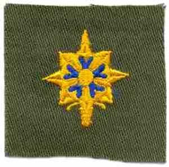 Military Intelligene Badge, cloth, Olive Drab by Saunders Military Insignia