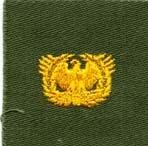 Olive Drab Cloth National Guard Badge by Saunders Military Insignia