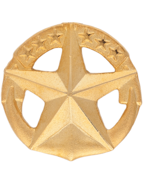 Navy Command at Sea Miniature badge