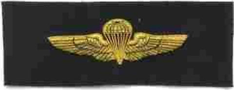 Navy Para Wing in Bullion by Saunders Military Insignia