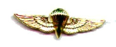 Navy Parachutist wing - Saunders Military Insignia