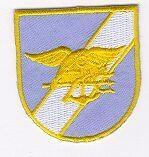 Navy Seal Team 6 Flash by Saunders Military Insignia