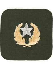 OPFOR Hamby Second Class rank insignia with Silver Star by Saunders Military Insignia