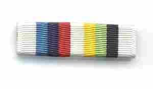 Org of Amer States Ribbon Bar