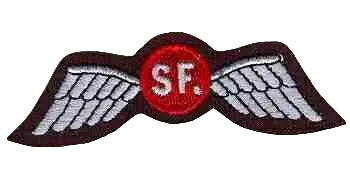 OSS Special Forces Wing Patch