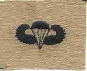 Para Basic Wing desert -1st design Patch, Desert Subdued by Saunders Military Insignia