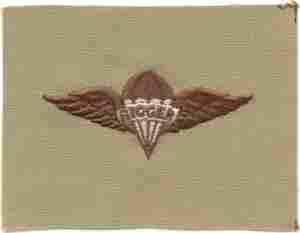 Para Rigger (Airborne) Patch, Desert Subdued