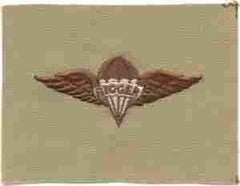 Para Rigger (Airborne) Patch, Desert Subdued by Saunders Military Insignia