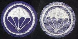 Parachute Infantry patch on Felt by Saunders Military Insignia
