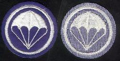 Parachute Infantry patch on Felt by Saunders Military Insignia