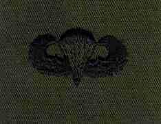 Parachutist Basic Badge, cloth, Subdued - Saunders Military Insignia