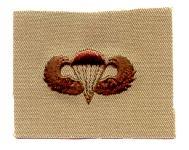 Parachutist Basic desert subdued Army Navy - Saunders Military Insignia