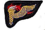 Pathfinder Army Patch - Saunders Military Insignia