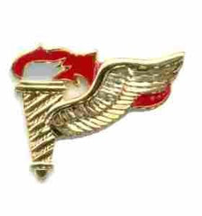 Pathfinder Enameled Metal badge - Saunders Military Insignia