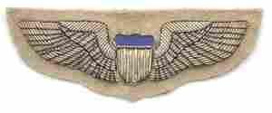 Pilot Wing in Bullion and tan cloth - Saunders Military Insignia