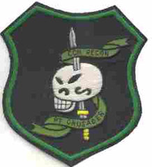 Reconnaissance Team Crusader Command and Control North by Saunders Military Insignia