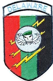Reconnaissance Team Delaware Patch