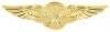 Rescue Swimmers Badge - Saunders Military Insignia