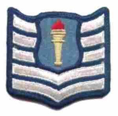 ROTC Technical Sergeant Clutch-back Rank - Saunders Military Insignia