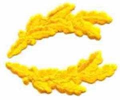 Scrambled Eggs Gold pair Nylon - Saunders Military Insignia