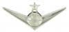 Senior Navigator Instructor Mirror Finish Badge - Saunders Military Insignia