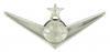 Senior Navigator Instructor Mirror Finish Badge - Saunders Military Insignia