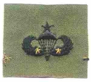 Senior Para 2 Combat Jump Army (2-Combat Jump) - Saunders Military Insignia