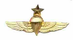 Senior Parachute Navy Wing - Saunders Military Insignia