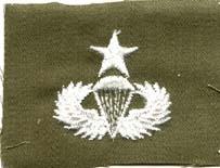 Senior Parachute Wing sew on wing in green subdued cloth - Saunders Military Insignia