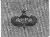 Senior Parachutist, Badge, cloth, Subdued - Saunders Military Insignia