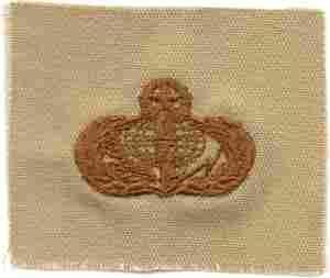 Services Master Desert Subdued Cloth Badge For Uniform
