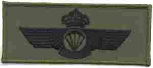 Spain Basic subued Foreign Jump Wing