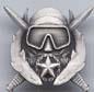 Special Operations Diving Supervisor badge in silver oxide - Saunders Military Insignia