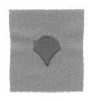 Specialist 4 (E4), Army Collar Chevron - Saunders Military Insignia