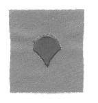 Specialist 4 (E4), Army Collar Chevron - Saunders Military Insignia