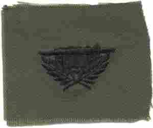 Staff Specialist Res Army Branch of Service insignia