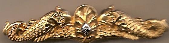 Submarine Medical Gold badge