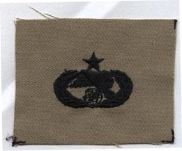 Supply Fuel Senior Desert USAF Embroidered Sew On Badge